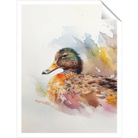 Warren Reed - Designer Mallard Watercolour Unframed Art Print | Size: W24" x H36"