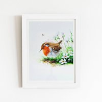 Warren Reed - Designer Robin & Daisies Watercolour Framed Art Print in White | Size: W8" x H10"