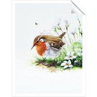 Warren Reed - Designer Robin & Daisies Watercolour Unframed Art Print | Size: W24" x H36"