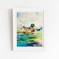 Warren Reed - Designer Splashing Mallard Watercolour Framed Art Print in White | Size: W12" x H16"