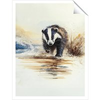 Warren Reed - Designer Wading Badger Watercolour Unframed Art Print | Size: W20" x H30"