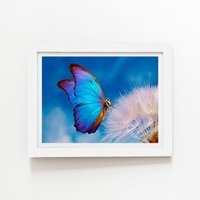 Warren Reed - Designer Butterfly & Dandelion Framed Art Print in White | Size: W12" x H16"