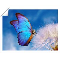 Warren Reed - Designer Butterfly & Dandelion Unframed Art Print | Size: W20" x H30"