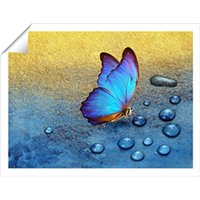 Warren Reed - Designer Butterfly On Dew Drops Unframed Art Print | Size: W8" x H10"