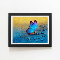 Warren Reed - Designer Butterfly On Dew Drops Framed Art Print in Black | Size: W8" x H10"