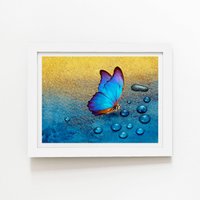 Warren Reed - Designer Butterfly On Dew Drops Framed Art Print in White | Size: W20" x H30"