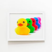 Warren Reed - Designer Colourful Ducks In A Row Framed Art Print in White | Size: W16" x H24"