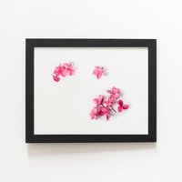 Warren Reed - Designer Pink Frangipani Flowers Framed Art Print in Black | Size: W8" x H10"