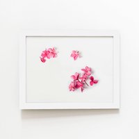 Warren Reed - Designer Pink Frangipani Flowers Framed Art Print in White | Size: W20" x H30"