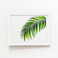 Warren Reed - Designer Single Palm Leaf Framed Art Print in White | Size: W8" x H10"