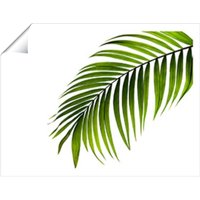 Warren Reed - Designer Single Palm Leaf Unframed Art Print | Size: W16" x H24"
