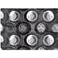 Warren Reed - Designer Black White Moon & Sun Glass Chopping Board in Grey