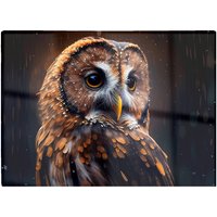 Warren Reed - Designer Tawny Owl Face Splashart Dark Background Glass Chopping Board in Brown
