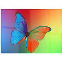 Warren Reed - Designer Vibrant Butterfly Glass Chopping Board in Blue
