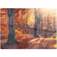 Warren Reed - Designer Autumn Forest Glass Chopping Board in Brown