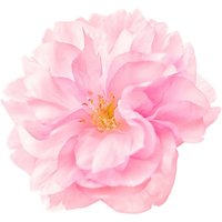 Warren Reed - Designer Single Cherry Blossom Glass Chopping Board in Pink