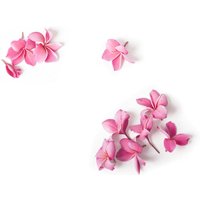 Warren Reed - Designer Pink Frangipani Flowers Glass Chopping Board