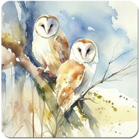 Warren Reed - Designer Barn Owls Watercolour Coasters - Set of 4 in Brown