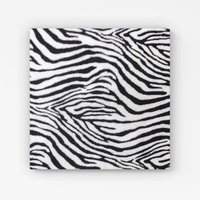 Warren Reed - Designer Zebra Texture Pattern Canvas in Grey | Size: W16" x H16"
