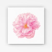 Warren Reed - Designer Single Cherry Blossom Canvas in Pink | Size: W30" x H30"