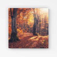 Warren Reed - Designer Autumn Forest Canvas in Brown | Size: w40 inch x h40 inch