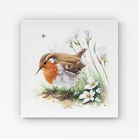 Warren Reed - Designer Robin & Daisies Watercolour Canvas in Brown | Size: W30" x H30"