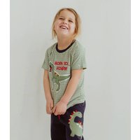 + Dizzy Dino Roar T Shirt m