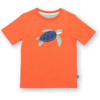 Turtle T Shirt Years