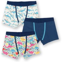 Shark Seas Trunks Years