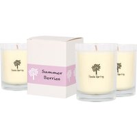 3x Soy Wax Scented Candles Summer Berries Aromatherapy Jar Candle