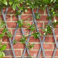 Marco Paul 1.8m Grey Wooden Expandable Trellis for Garden Plants in Beige