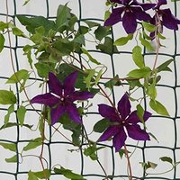 Marco Paul 0.5m x 5m Climbing Plant & Fencing Mesh - Brown in Black