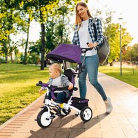 6 1 Trike Stroller Parent Handle