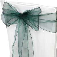 Neel Blue Set of 25 Organza Sashes Wider Fuller Bow for Party Decoration, 17cm x 280cm in Bright Green | Size: 17 cm x 280 cm