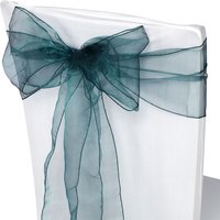 Neel Blue Organza Chair Sashes Wider Fuller Bow for Party Decoration, 17cm x 280cm in Pale Green | Size: 17 cm x 280 cm