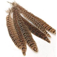 Neel Blue 10pcs Natural Pheasant Feathers, 25cm-30cm Soft Native Plume in Light Brown