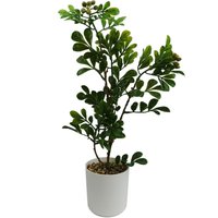 45cm Artificial Aglaia Odorata Bonsai Ficus Tree