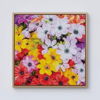 Warren Reed - Designer Spring Flowers Framed Canvas in Light Brown | Size: W16" x H16"