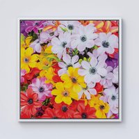 Warren Reed - Designer Spring Flowers Framed Canvas in Off-White | Size: w40 inch x h40 inch