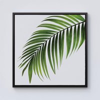 Warren Reed - Designer Single Palm Leaf Framed Canvas in Black | Size: W16" x H16"