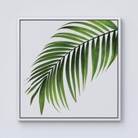 Warren Reed - Designer Single Palm Leaf Framed Canvas in Off-White | Size: W30" x H30"