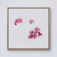 Warren Reed - Designer Pink Frangipani Flowers Framed Canvas in Light Brown | Size: W30" x H30"