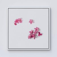 Warren Reed - Designer Pink Frangipani Flowers Framed Canvas in Off-White | Size: w40 inch x h40 inch