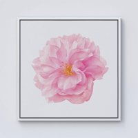 Warren Reed - Designer Single Cherry Blossom Framed Canvas in Off-White | Size: W16" x H16"