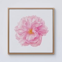 Warren Reed - Designer Single Cherry Blossom Framed Canvas in Light Brown | Size: w40 inch x h40 inch