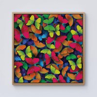 Warren Reed - Designer Rainbow Butterflies Framed Canvas in Light Brown | Size: W30" x H30"