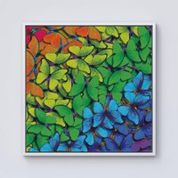 Warren Reed - Designer Multicoloured Butterflies Framed Canvas in Off-White | Size: W30" x H30"
