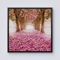 Warren Reed - Designer Pink Flower Tree Tunnel Framed Canvas in Black | Size: W30" x H30"