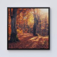 Warren Reed - Designer Autumn Forest Framed Canvas in Black | Size: w10 inch x h10 inch