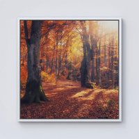 Warren Reed - Designer Autumn Forest Framed Canvas in Off-White | Size: W30" x H30"